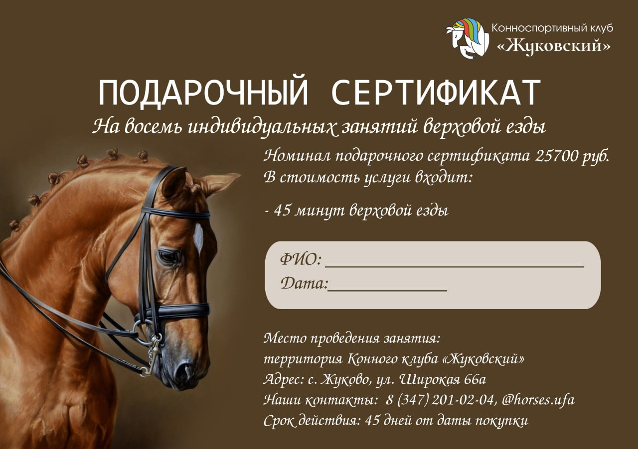 Подарочный сертификат на 8 индивидуальных занятий верховой езды