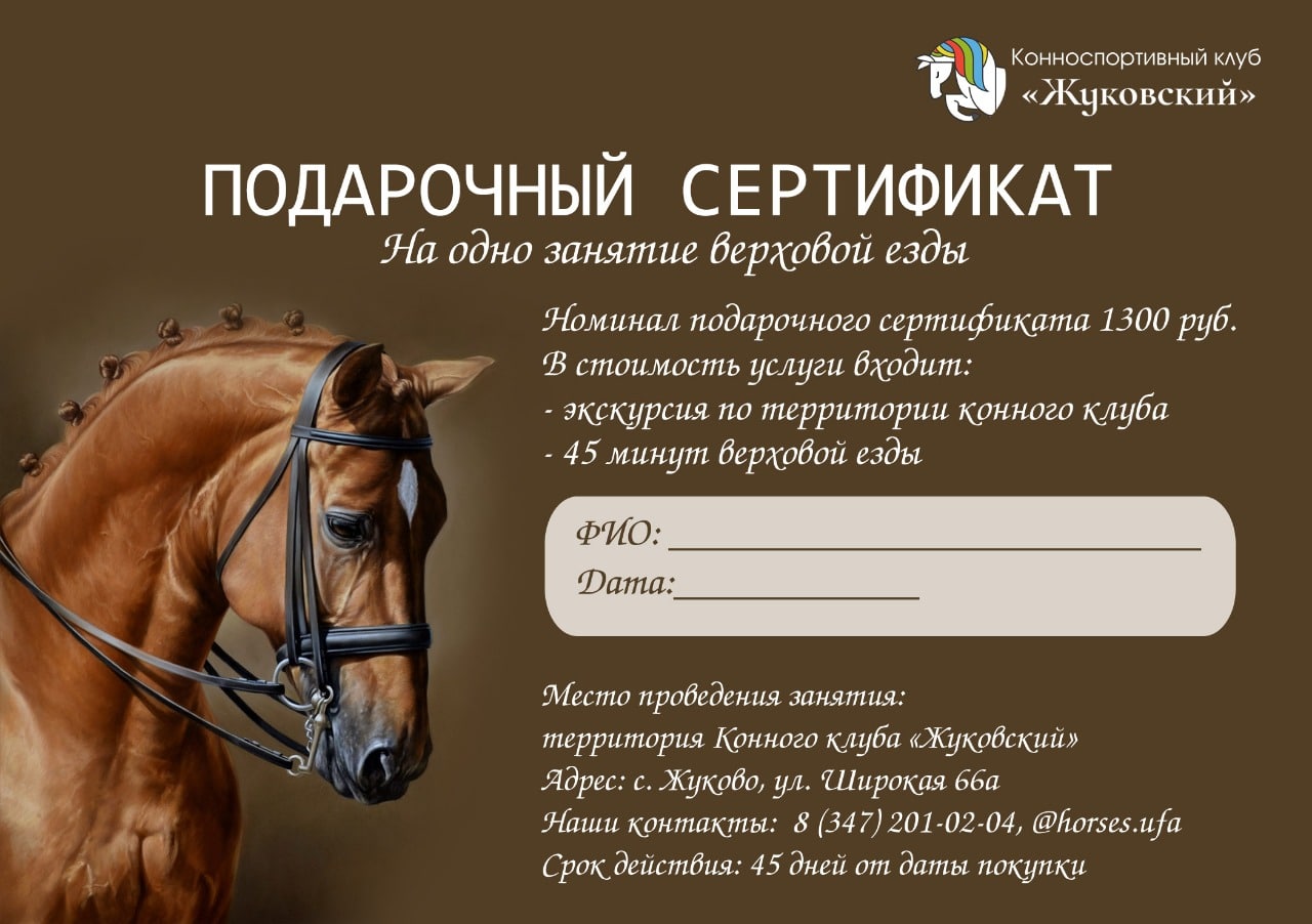 Подарочный сертификат на одно занятие верховой езды - 1300 рублей
