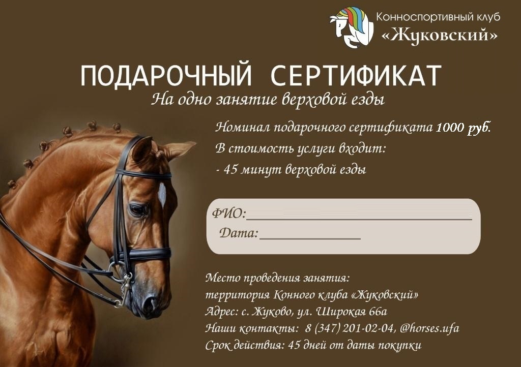 Подарочный сертификат на одно занятие верховой езды - 1000 рублей